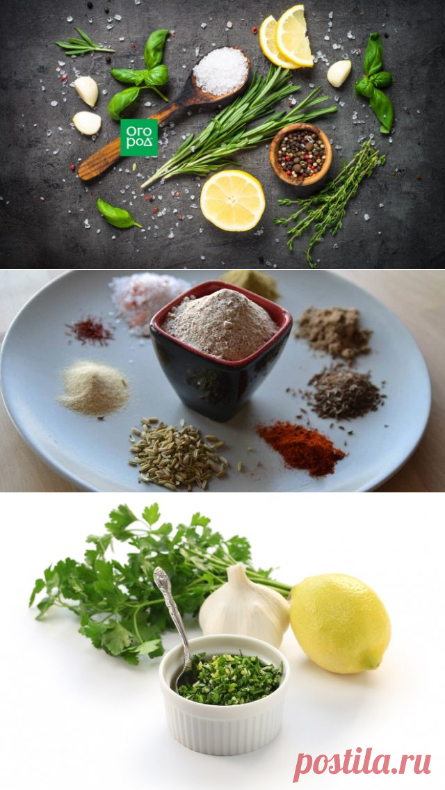 7 рецептов ароматной соли для особого вкуса домашних блюд | Статьи (Огород.ru)
