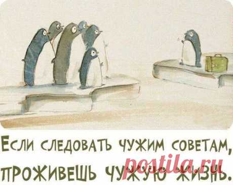 делай так как сам хочешь