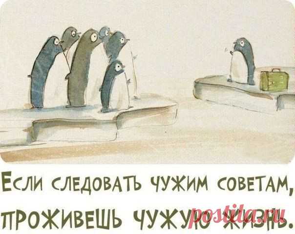 делай так как сам хочешь