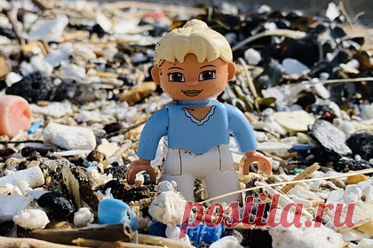 Женщина потратила 25 лет на поиск утонувших в море деталей Lego. На побережьях Дэвона и Корнуолла, Англия, женщина в течение 25 лет собирает вынесенные на берег детали Lego, которые утонули в море. История началась 13 февраля 1997 года, когда грузовое судно, перевозившее контейнеры с различными товарами, попало в шторм. В итоге часть контейнеров оказалась на дне.