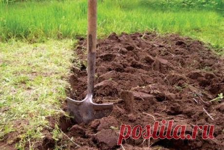 Поднятие целины - Чудесная дача