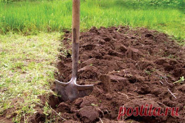 Поднятие целины - Чудесная дача