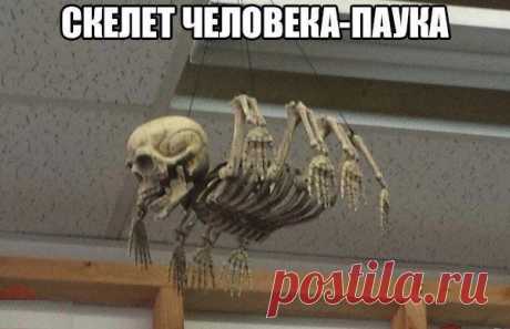 **