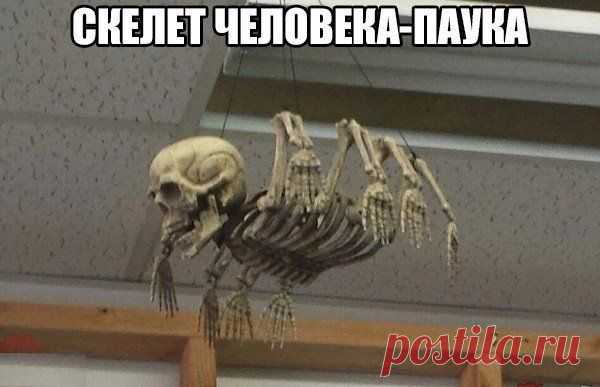 **