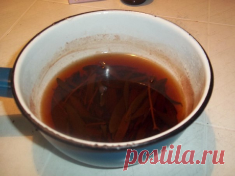 Целебный отвар для чистки кишечника