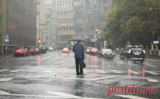 Упавшие из-за ветра в Москве деревья повредили четыре автомобиля. Сильный ветер в Москве повалил 14 деревьев, повредив четыре автомобиля.