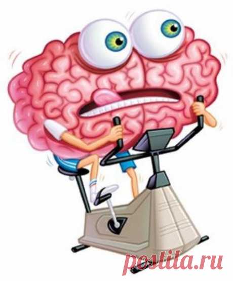 Включи мозг: 9 способов поддерживать свою жизнь в тонусе - Искусство здоровой жизни