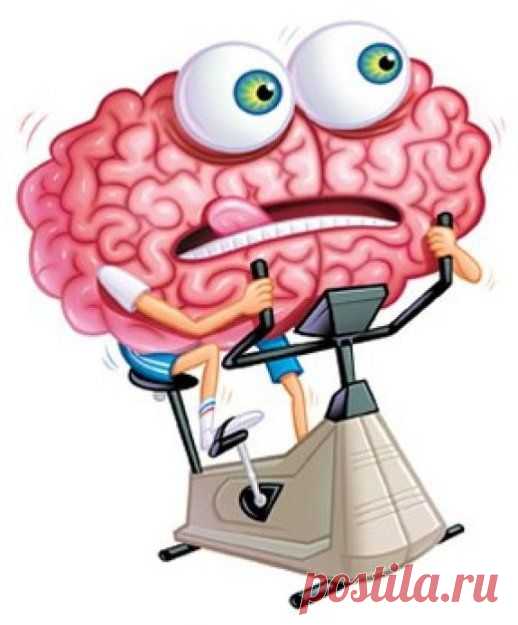 Включи мозг: 9 способов поддерживать свою жизнь в тонусе - Искусство здоровой жизни