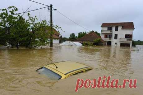 Popovic Jovan
