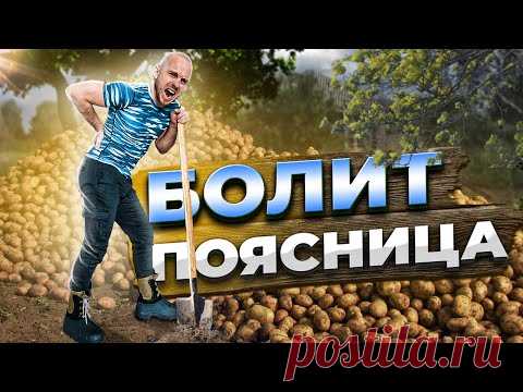 Болит поясница и спина после работы на огороде и уборки дома