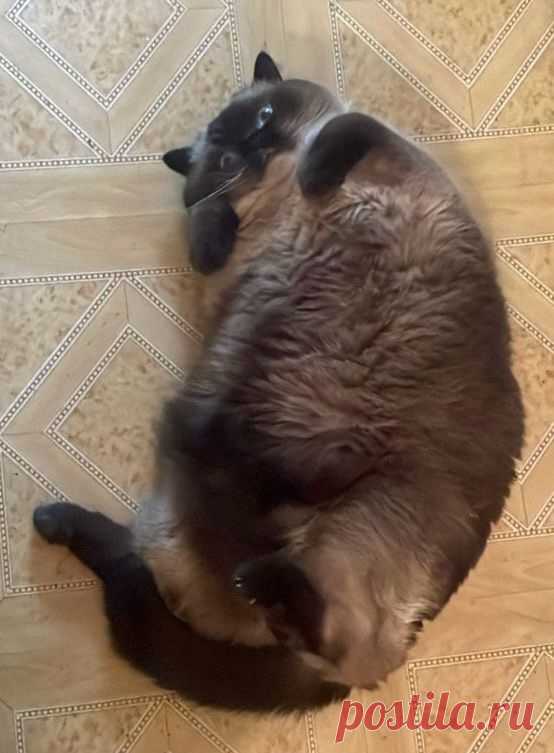 ,