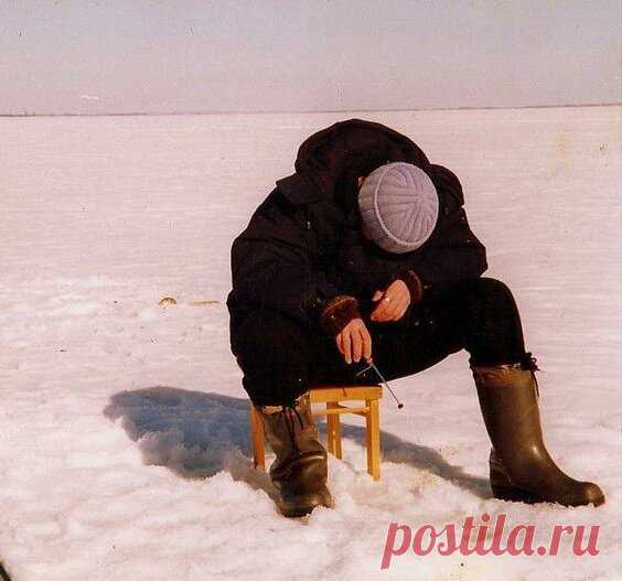 Как Василий пошел на рыбалку и нашел себе жену | Удачная рыбалка | Яндекс Дзен