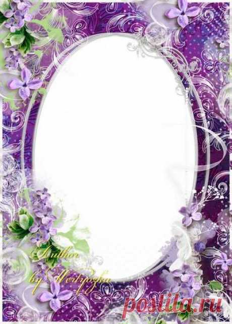 White lilac and pink tulips, photo frame. Transparent PNG Frame, PSD Layered Photo frame template, Download.