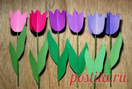 (3) Одноклассники