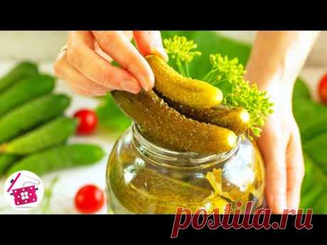 БАБУШКА НАУЧИЛА 100% 🥒 ХРУСТЯЩИЕ Соленые Огурцы в Банках! Квашеные Огурцы на Зиму. Готовим Дома