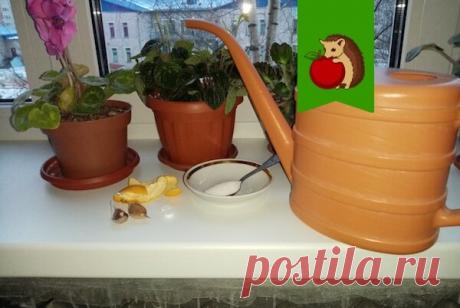 3 полезных удобрения для комнатных цветов в период покоя: чем подкормить, чтобы дать сил, но не разбудить | садоёж | Яндекс Дзен