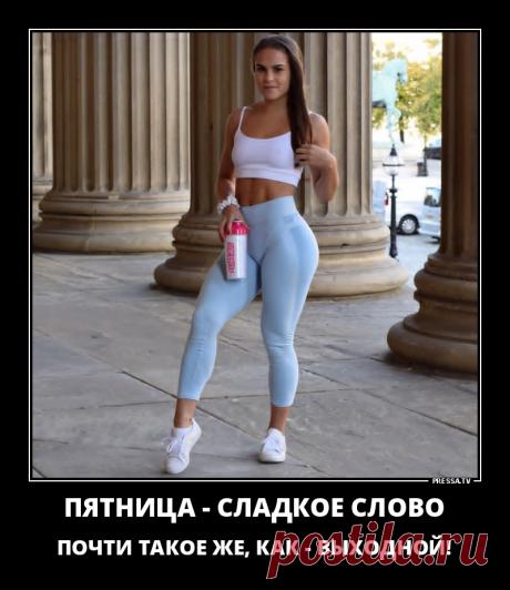 Оптимистичные жизненные Демотиваторы 14-11-2018 63435 . Чёрт побери