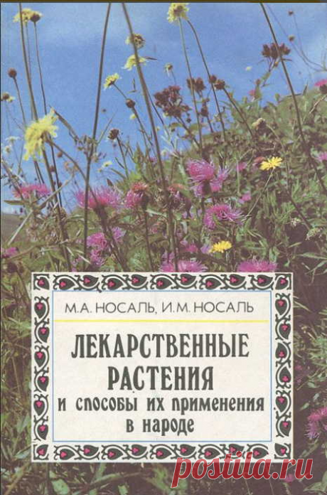 Золотой рецепт для повышения иммунитета от Константина Носаля