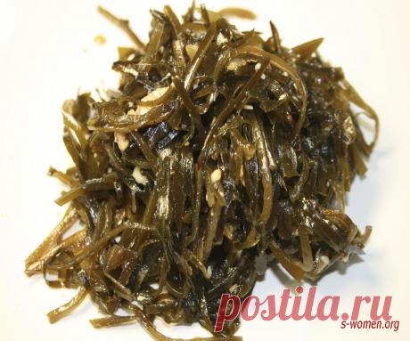 Чем полезна морская капуста