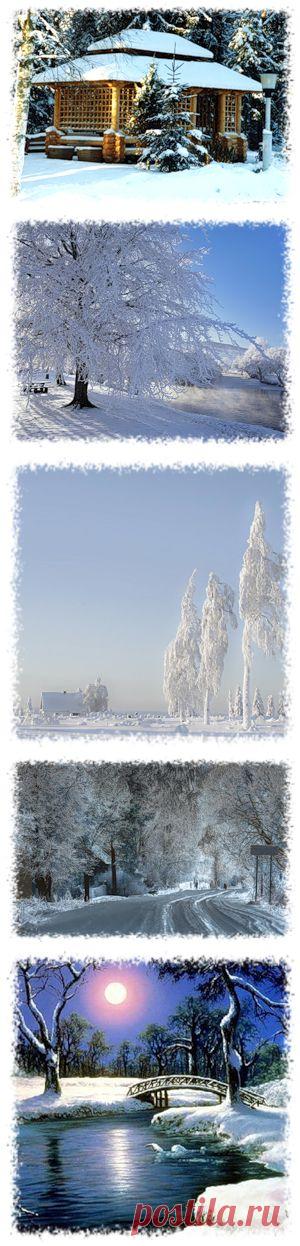 nimfea180776 — альбом «Мои работы / Мой клипарт / Природа. Зима PNG» на Яндекс.Фотках