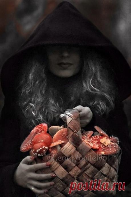 Расплескалась синяя печаль, разлилась таинственным туманом...
И не видно стало лес, а даль грезится бескрайним океаном.
Знай, волшебница, колдунья я! Днём кажусь обычною девицей,
А во тьме, — ты не поверишь мне, — я охотница, сова, ночная птица...
То, что днём казалось пнём простым, хитрым лешим ночью повернулось. А растущие под ёлками грибы, гномами чудесно обернулись...

~ Елена Жукова-Желенина
#обитель_природа #обитель_черное #обитель_красное #обитель_мистика