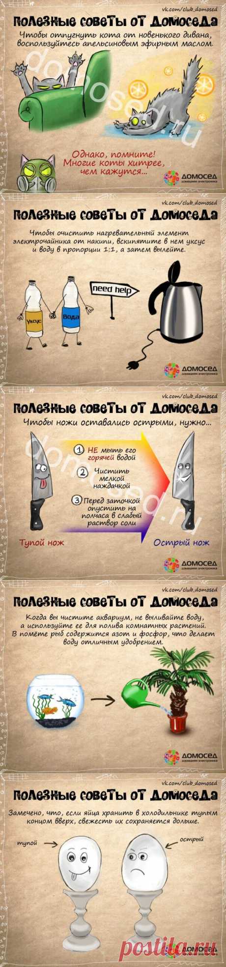 Полезные советы | ВСЕГДА В ФОРМЕ!