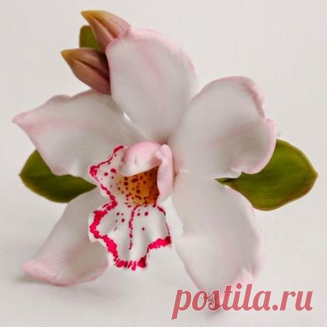 Phalaenopsis. Вязание от Светланы Заец. Добро пожаловать на канал Phalaenopsis. Вязание от Светланы Заец. Предлагаю Вам посетить мир творчества и неограниченной фантазии... Учиться вместе со мной в...