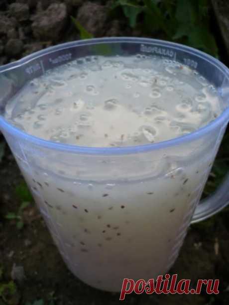 (3) Одноклассники