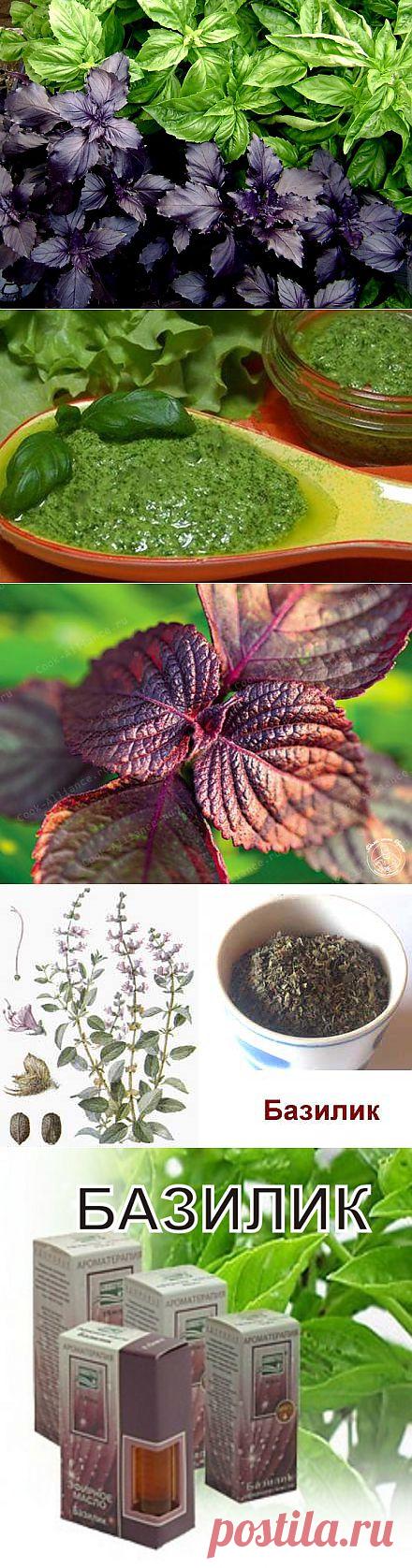 Омолаживающий продукт - Базилик.