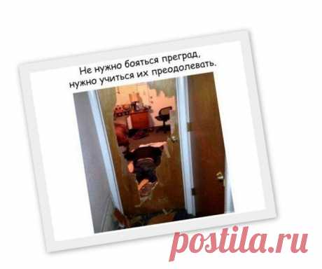 Как жить? (10 ) - ЛоЛс.ру - Позитивный смешарик