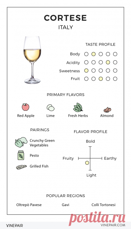 An Illustrated Guide to Cortese From Italy | VinePair