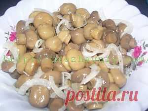 Маринованные шампиньоны быстрого приготовления | Урожайная дача