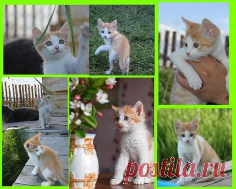 Татьяна Кузнецова