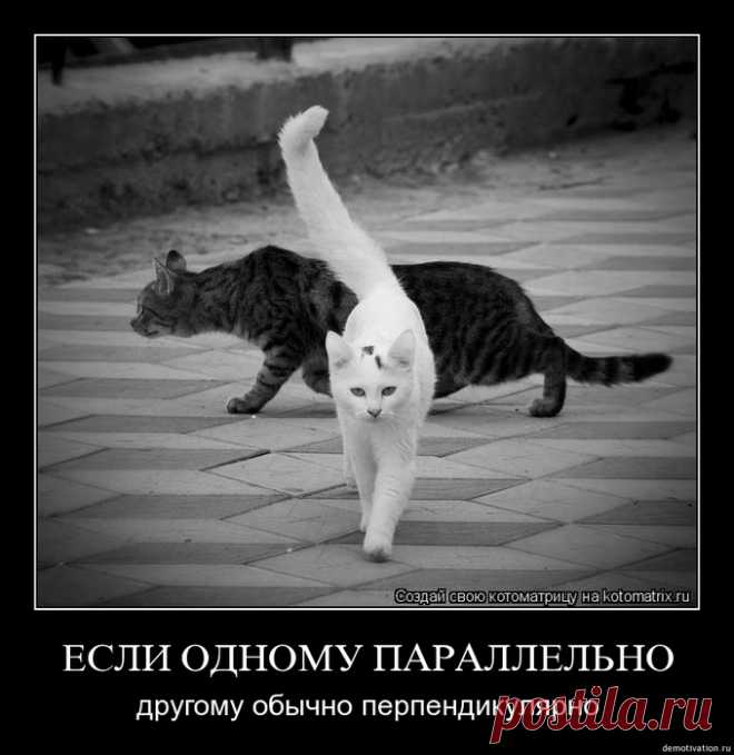 Котэ - для хорошего настроения