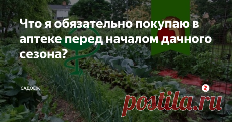 Что я обязательно покупаю в аптеке перед началом дачного сезона? Мой список самых дешевых и полезных препаратов, которые помогут справится со многими проблемами в огороде