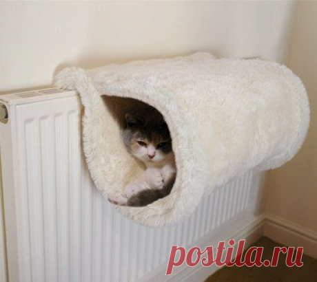 Фотографии на стене сообщества | 32 769 фотографий