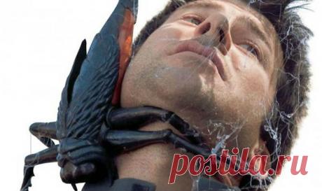 20 животных, которые могут тебя съесть