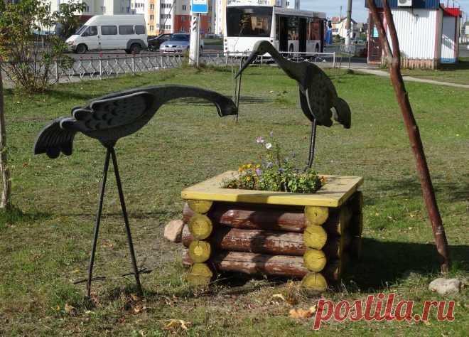 цапля
Житковичи Гомельская обл