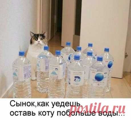 оставил... пробочки поди сам раскрутит, не маленький...