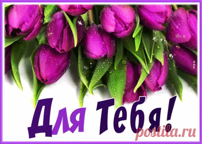 Открытка с лиловыми тюльпанами для тебя