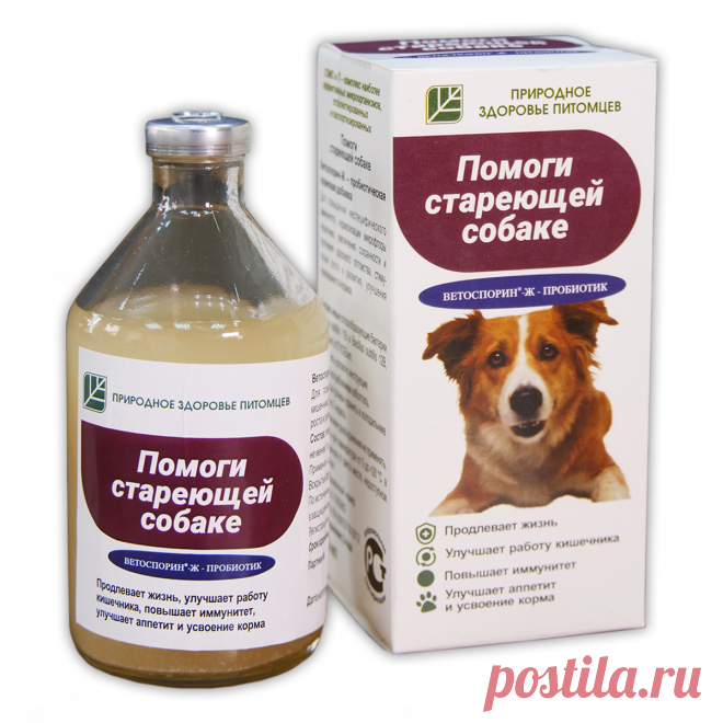 Помоги стареющей собаке - 100 мл