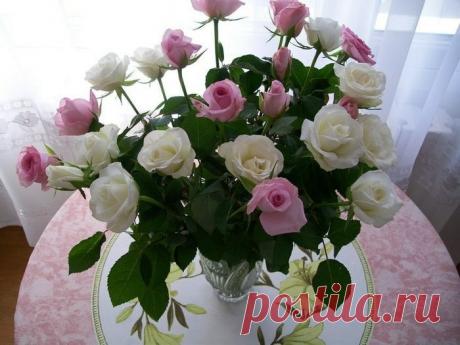 (4) Зина Таирова