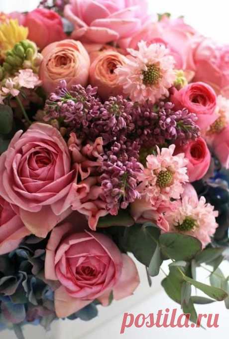 Найдено на сайте Uploaded by user.