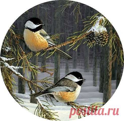 Картинки для декупажа / Декупаж / Картинки для декупажа