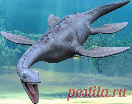 Отдохни с Webfile.ru | Приколы, видео, картинки — просто отдохни!