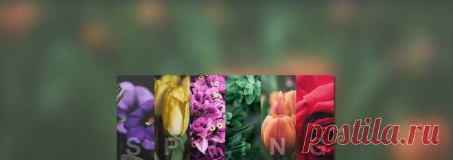 Photo Editor | BeFunky: Free Online Photo Editing and Collage Maker