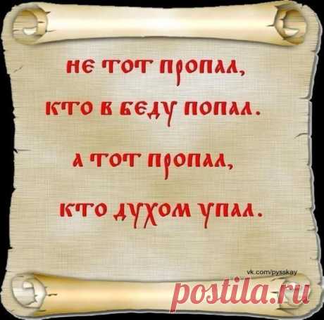 Мудрость приходит с возрастом.. — Всегда в форме!