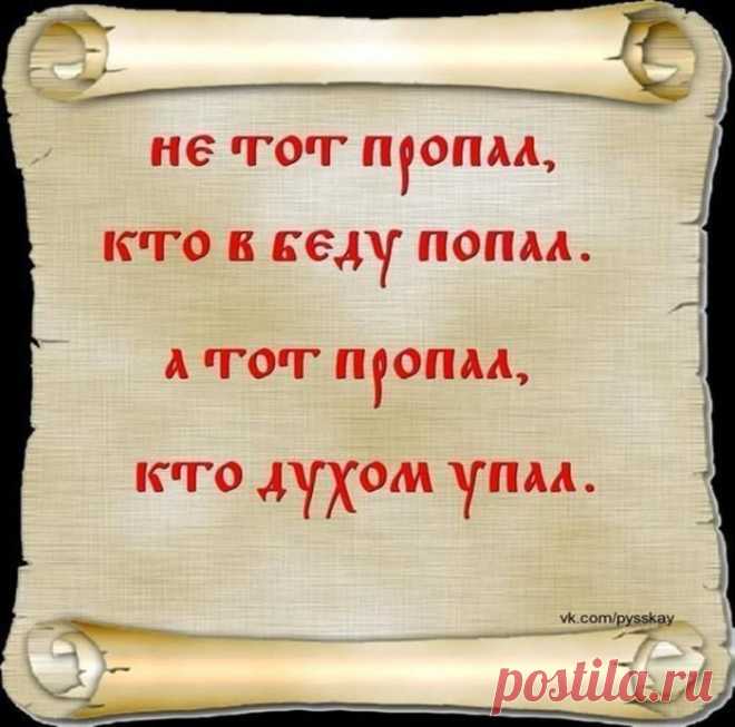 Мудрость приходит с возрастом.. — Всегда в форме!