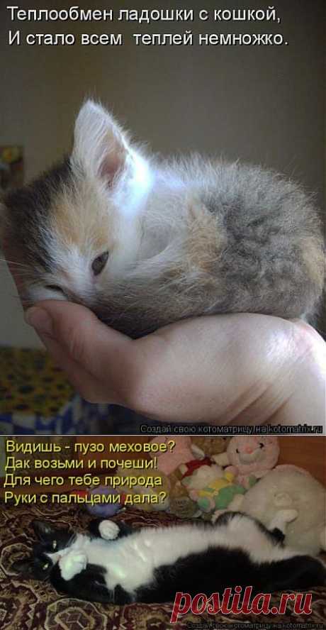 Ура-а-а-а-а! У меня глазки открылись! | ДОСТОЙНАЯ ЖИЗНЬ НА ПЕНСИИ