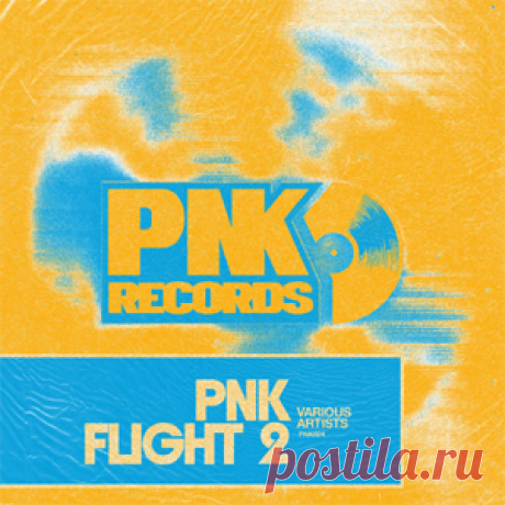Various Artists - PNK FLIGHT 2 | 4DJsonline.com